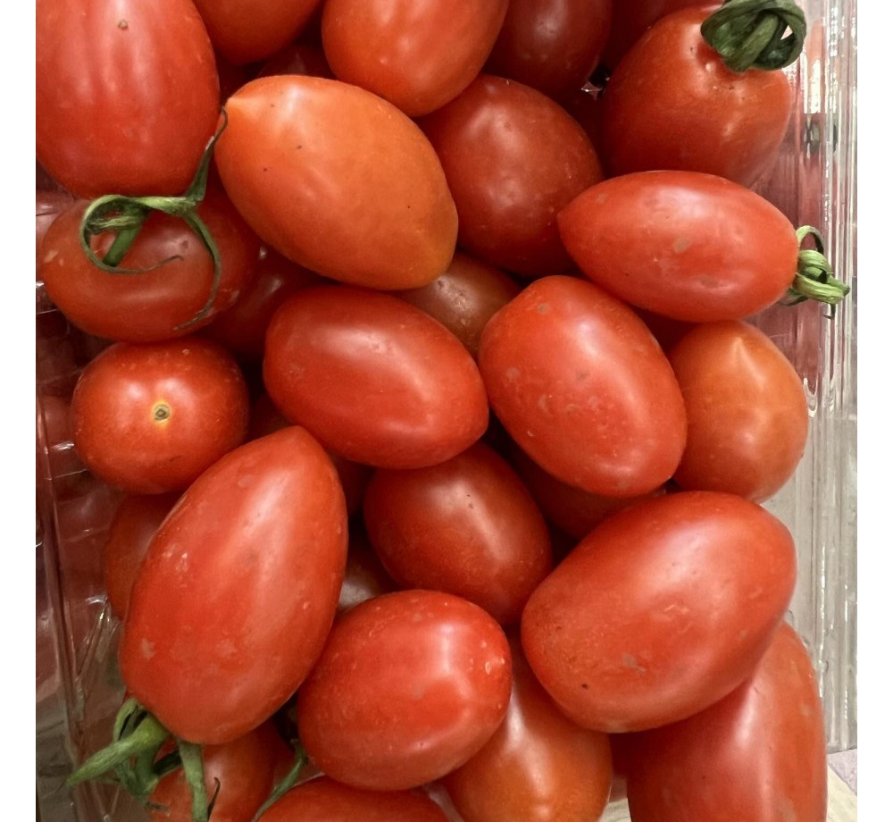 Продавам разсад Домати - сорт "Кампари-червено" - вкоренен в контейнер.