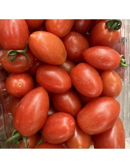 Продавам разсад Домати - сорт "Кампари-червено" - вкоренен в контейнер.
