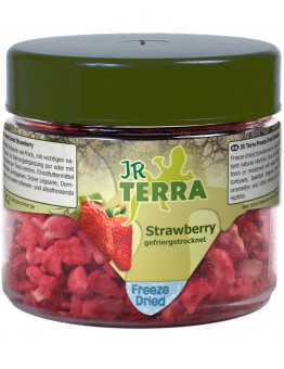 JR Farm Terra Freeze Dried Strawberry - лакомство за влечуги - Ягоди - 10 гр.
