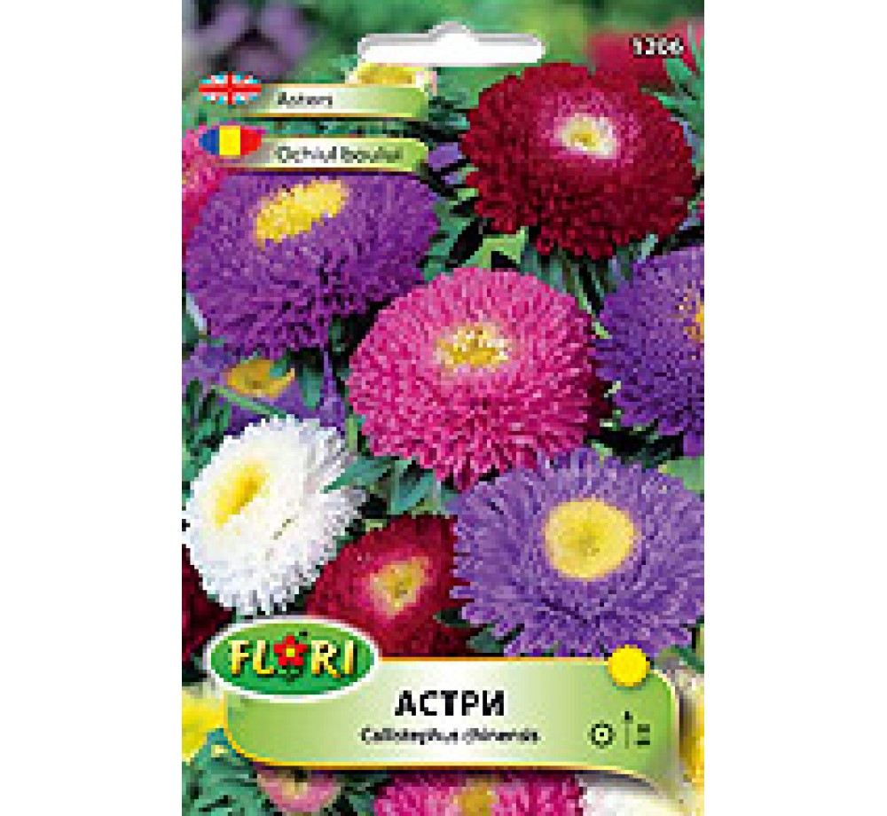 Астри Помпон микс/ Callistephus chinensis Pompon flowered mix - (едногодишни цветя)