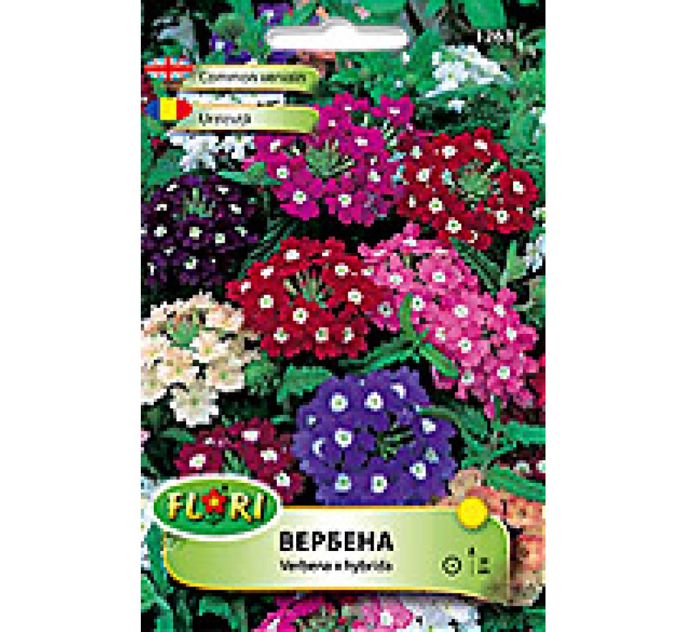 Вербена микс/ Verbena nana mix - (едногодишни цветя) Вербена микс/ Verbena nana mix - (едногодишни цветя)