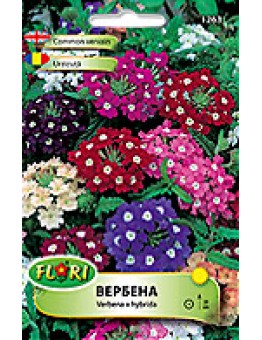 Вербена микс/ Verbena nana mix - (едногодишни цветя)