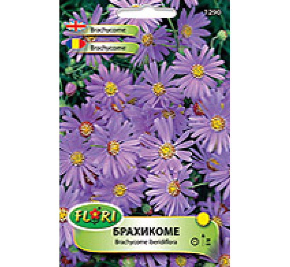 Брахикоме/ Brachycome iberidiflora Blue Splendour - (едногодишни цветя)