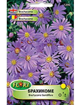 Брахикоме/ Brachycome iberidiflora Blue Splendour - (едногодишни цветя)