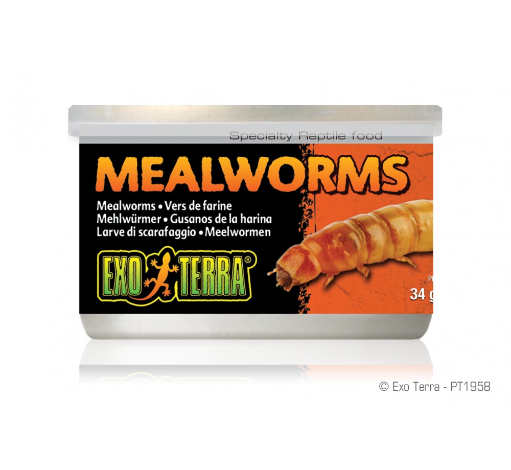 Exo Terra - Mealworms - консревирани дълги червеи за влечуги и земноводни - 34 гр.