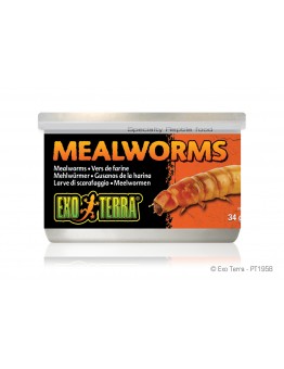 Exo Terra - Mealworms - консревирани дълги червеи за влечуги и земноводни - 34 гр.