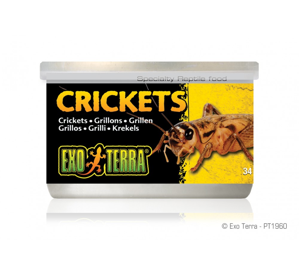 Exo Terra - Crickets - онсервирани щурци за влечуги и земноводни - 34 гр.