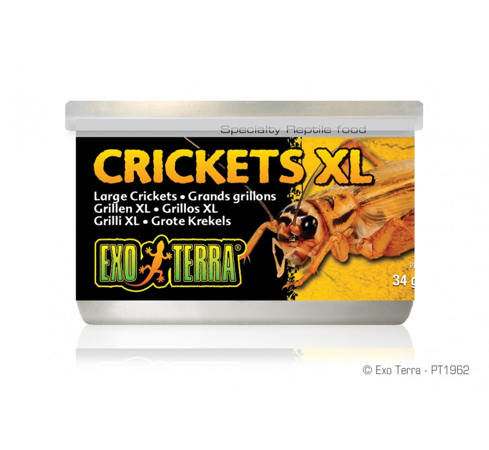 Exo Terra - Crickets XL - консервирани щурци / големи /  за влечуги и земноводни - 34 гр.