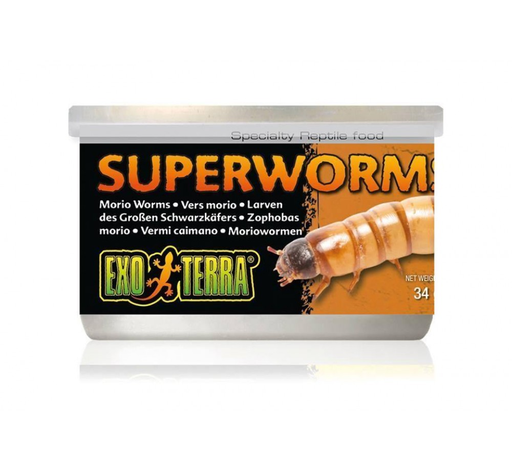 Exo Terra - Super Worms Canned Foods - неустоими консервирани супер червеи за влечуги и земноводни - 34 гр. Exo Terra - Super Worms Canned Foods - неустоими консервирани супер червеи за влечуги и земноводни - 34 гр.