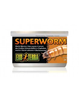 Exo Terra - Super Worms Canned Foods - неустоими консервирани супер червеи  за влечуги и земноводни - 34 гр.