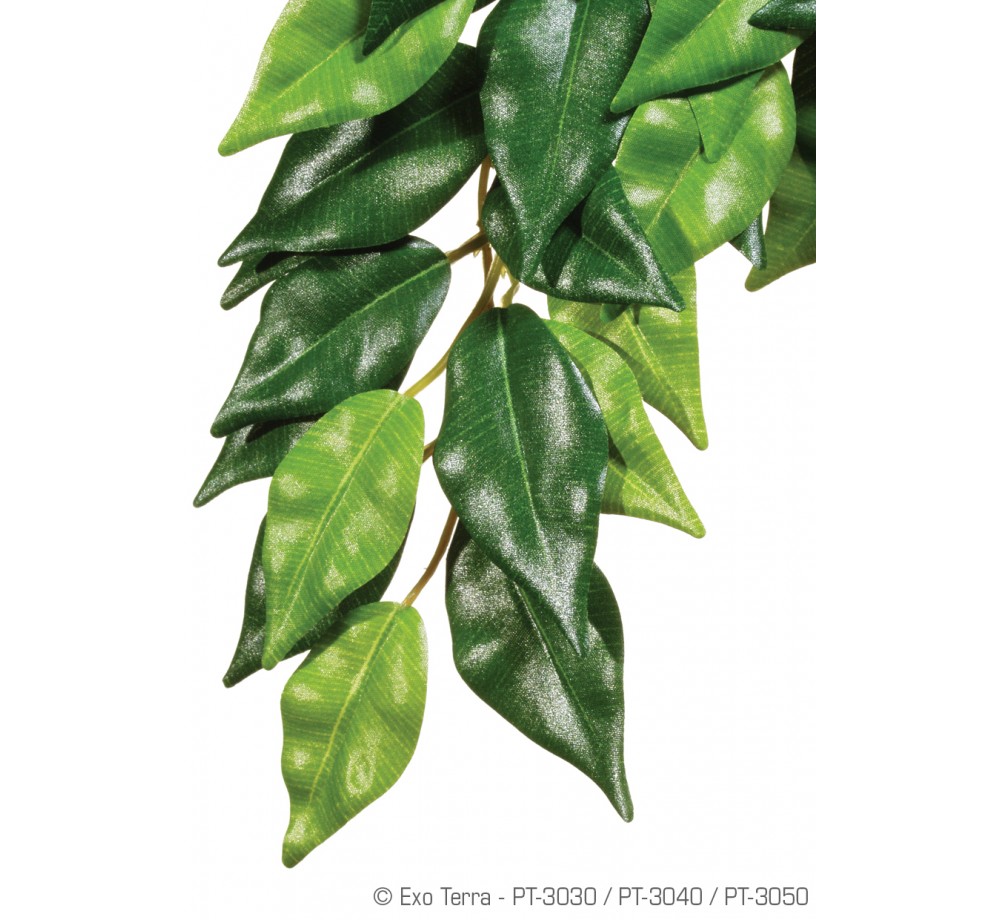 Exo Terra - Ficus Silk Small - висящо терариумно растение