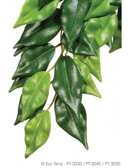 Exo Terra - Ficus Silk Small - висящо терариумно растение