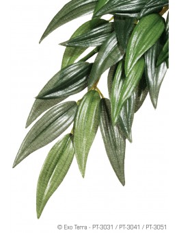 Exo Terra - Ruscus Silk Large - висящо терариумно растение