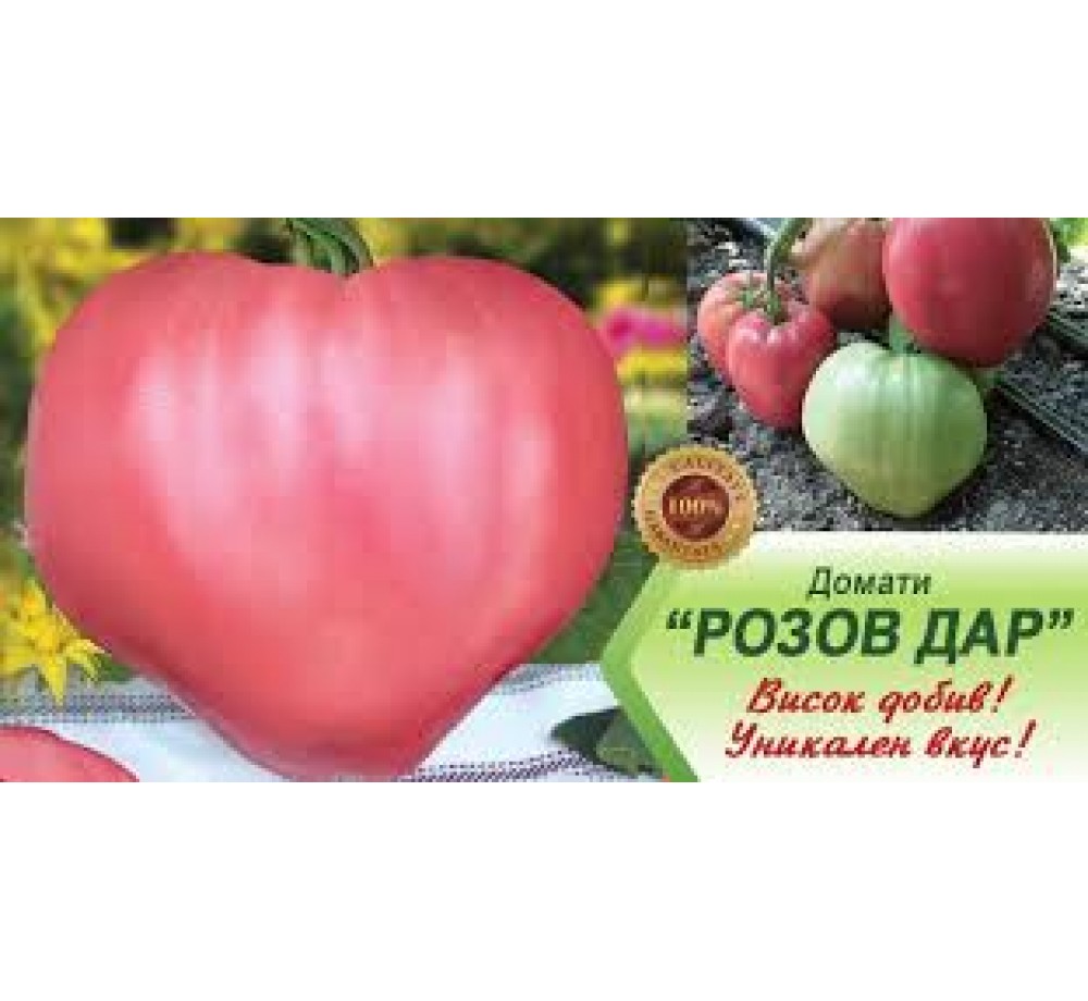 Семена Домати - от серия Възродени Български Сортове - РОЗОВ ДАР - 0.2 гр. -около 70-80 бр. Семена Семена Домати - от серия Възродени Български Сортове - РОЗОВ ДАР - 0.2 гр. -около 70-80 бр. Семена